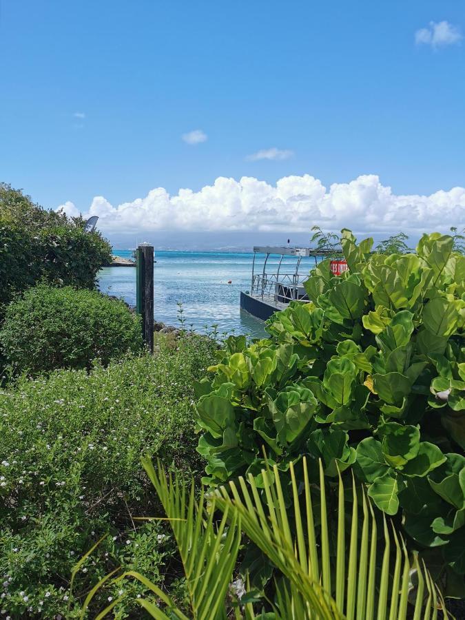 La Creole T3 Lumineux A 1Mn De La Plage Le Gosier  Dış mekan fotoğraf